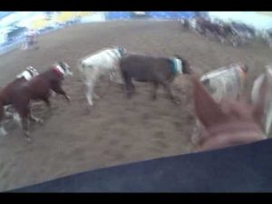 Video of the Week: Team Penning Helmet Cam