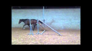 Video of the Week: The Shortest Route