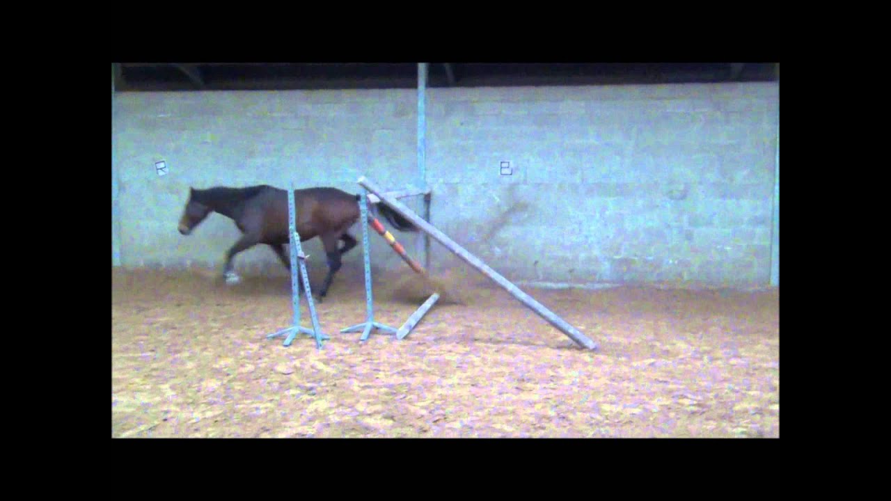 Video of the Week: The Shortest Route