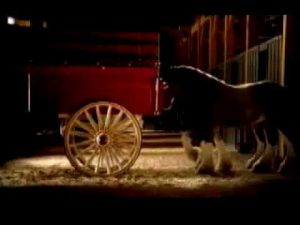 2006 Budweiser Clydesdales: American Dream