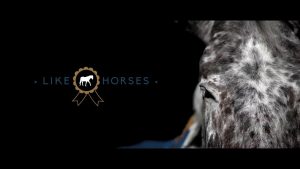 Video of the Week: Like Horses