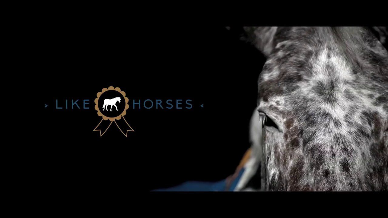 Video of the Week: Like Horses