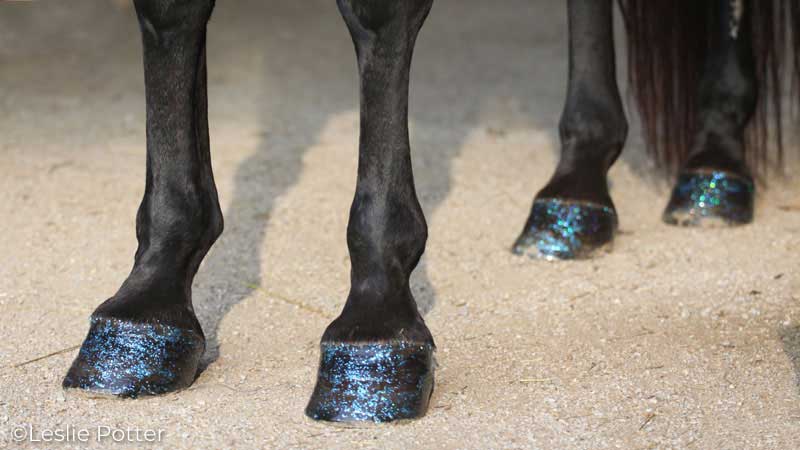 Glitter hoof polish