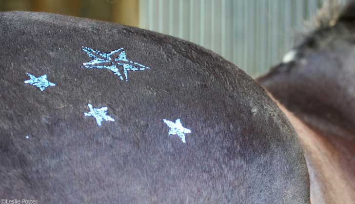 Horse glitter paint star stencils