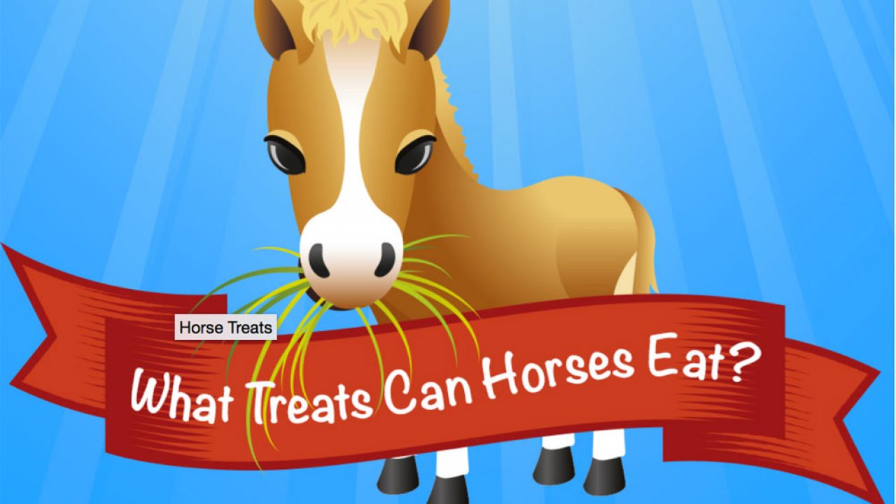 Are Horse Treats Safe For Dogs