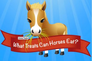 Toxic Horse Treats