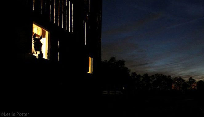 Horse barn at night