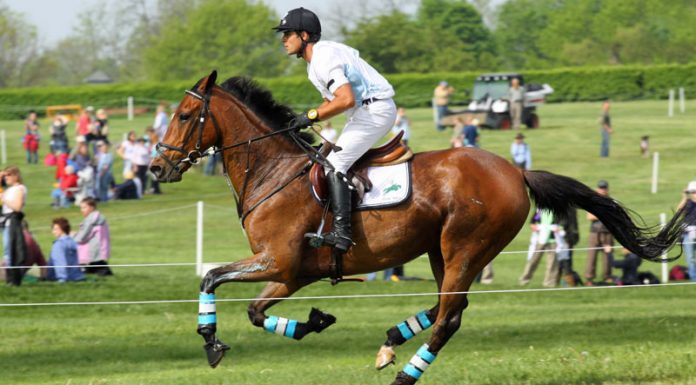 Eventer Jose Ortelli and Jos Aladar