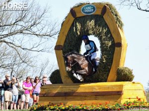 The Irish Draught and Irish Sport Horse