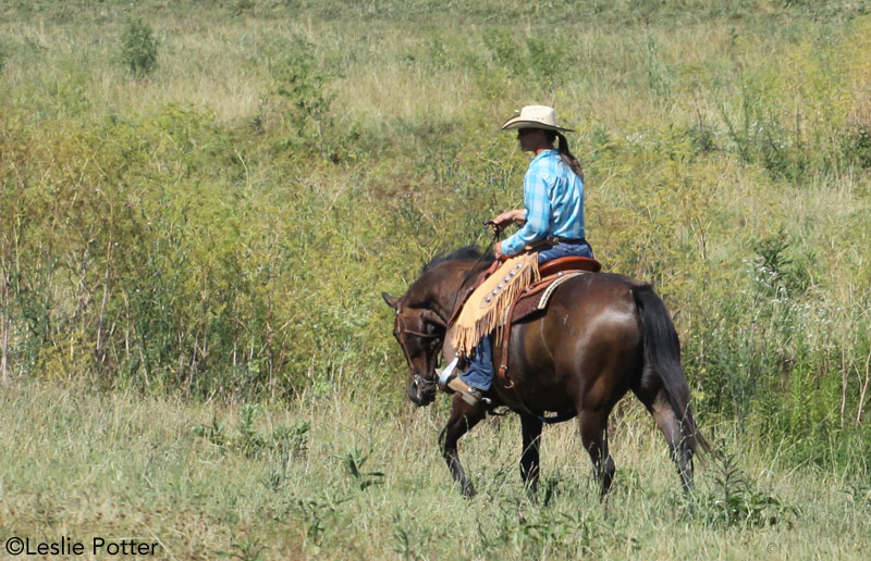Western rider in an open field