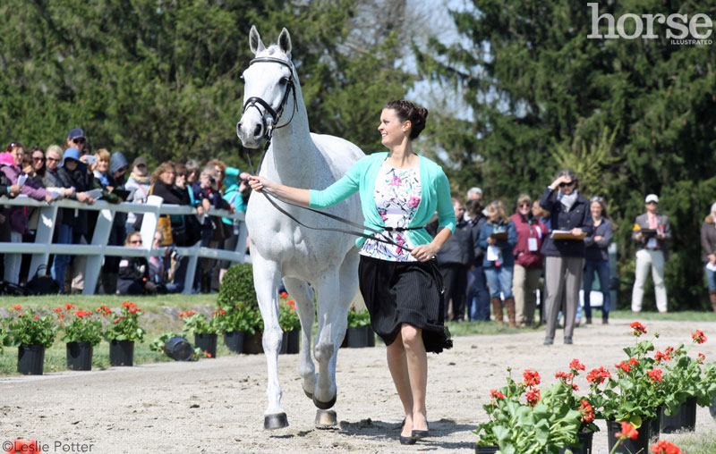 2015 Rolex Kentucky Three-Day Event jog