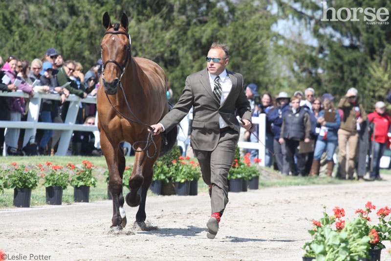 2015 Rolex Kentucky Three-Day Event jog