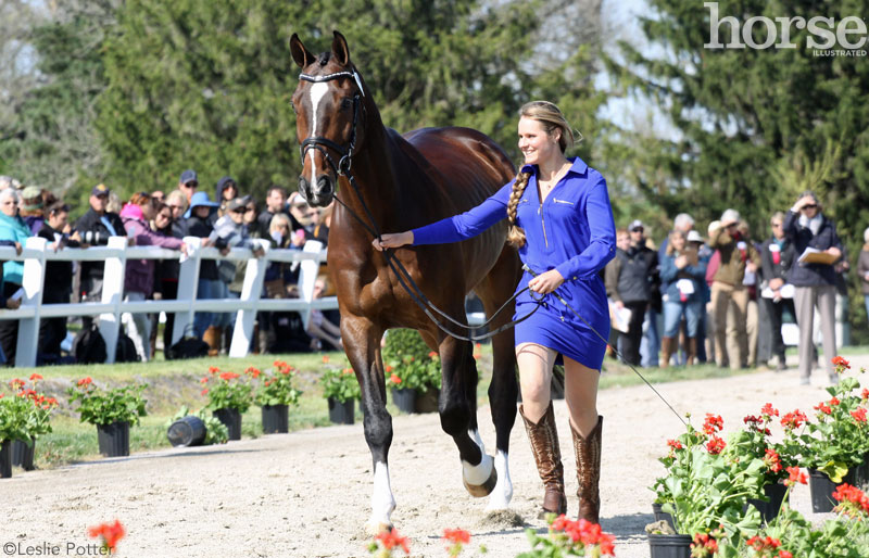 2015 Rolex Kentucky Three-Day Event jog