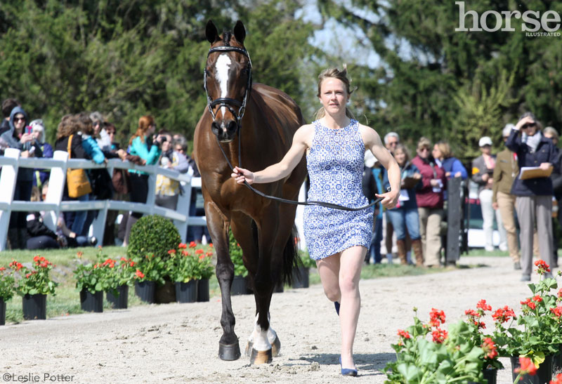 2015 Rolex Kentucky Three-Day Event jog