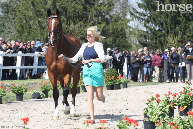 2015 Rolex Kentucky Three-Day Event jog