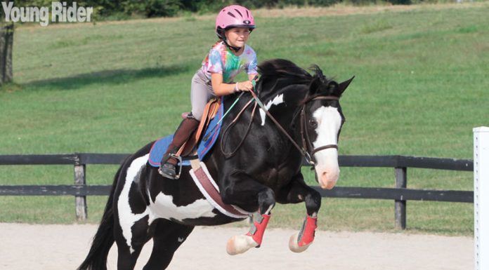Pony jumping a vertical