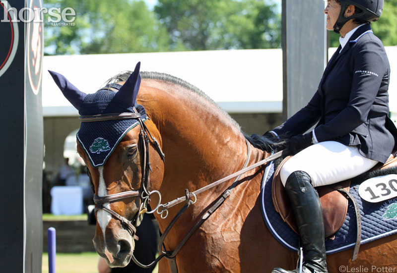 Margie Engle and Royce at Split Rock Jumping Tour