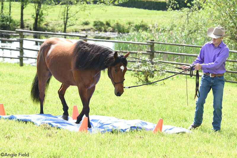 Teaching water crossing