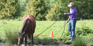 Teaching water crossing