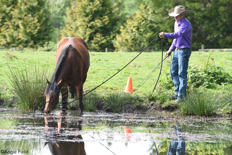 Teaching water crossing