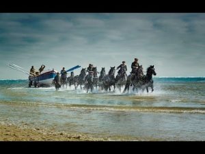 Bank Puts Horses in Commercial and it’s Awesome