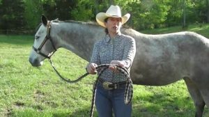 Leading a Horse: What’s Wrong with This Picture?