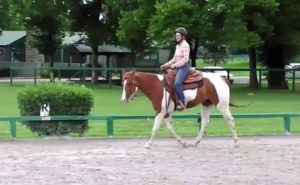 Video: Slowing Down Your Horse’s Gaits