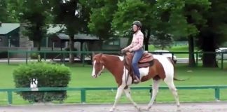 Video: How to slow your horse down.