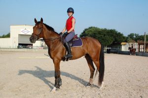 The Unwritten Barn Dress Code