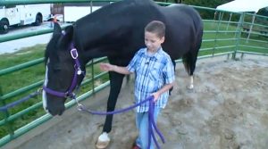 Therapy Horse Helps Little Boy Blossom