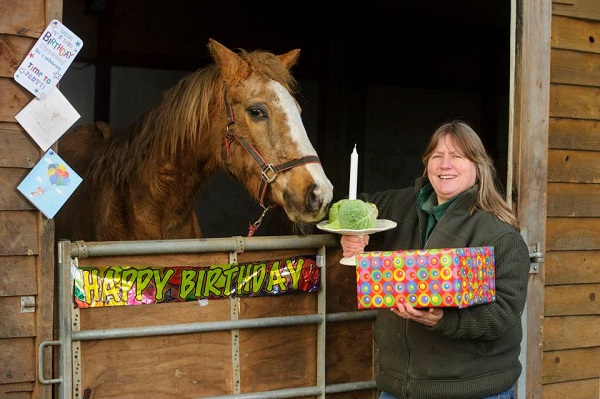 Orchid the oldest horse