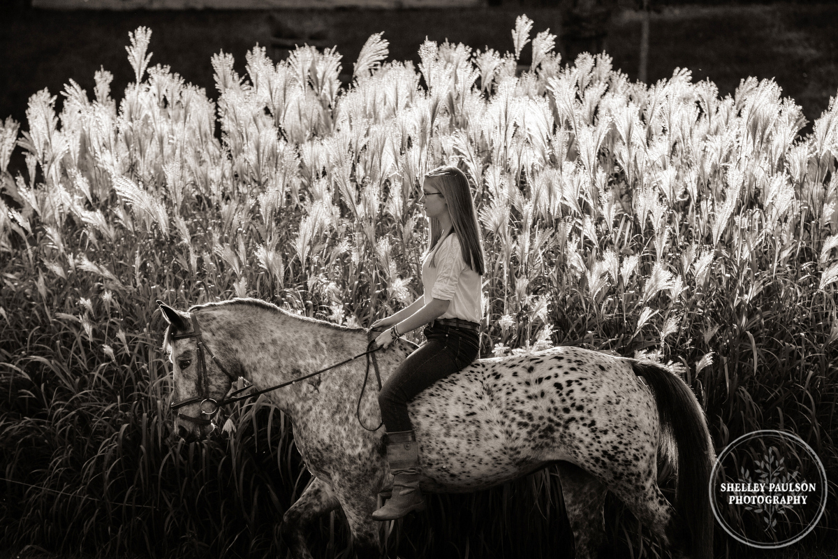 Girl riding horse bareback by Shelley Paulson