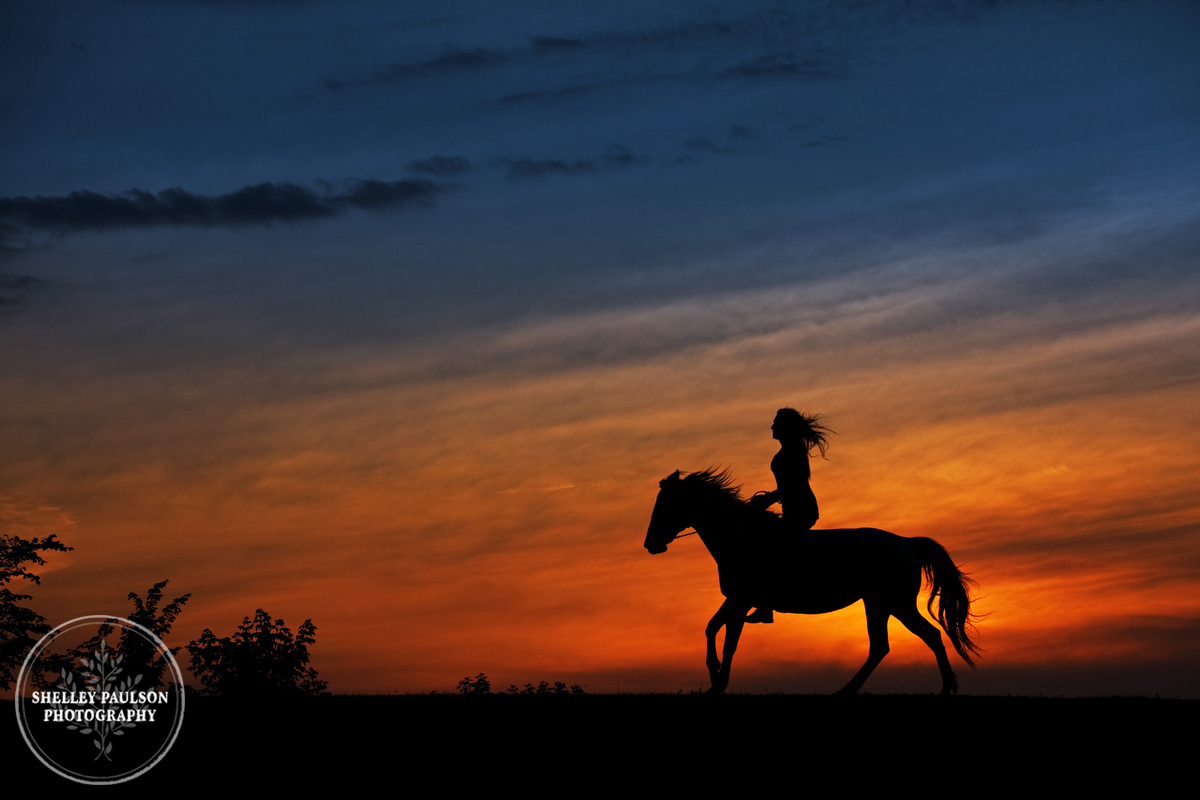 Silhouette of woman riding horse at sunset by Shelley Paulson