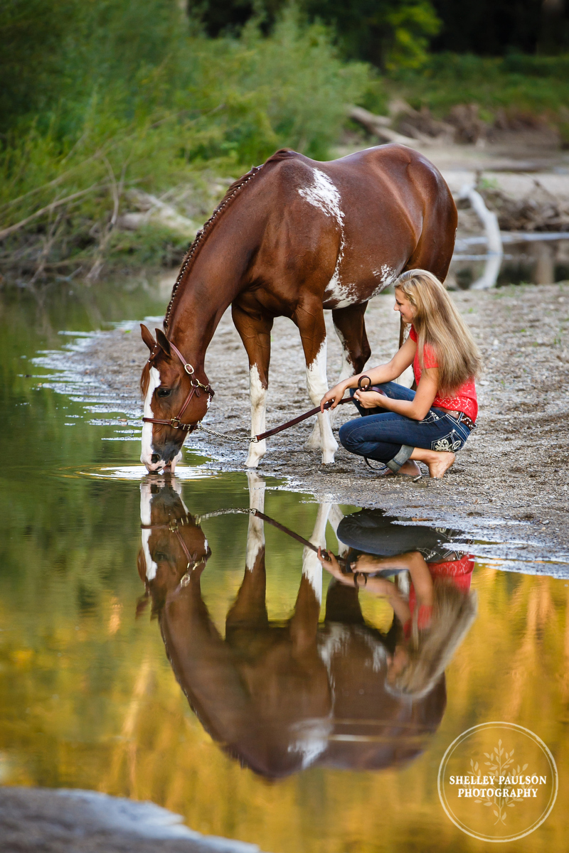 Horse drinking from stream by Shelley Paulson