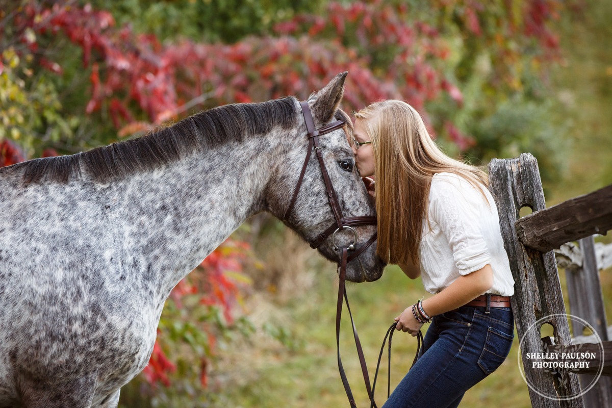 Girl kissing horse by Shelley Paulson