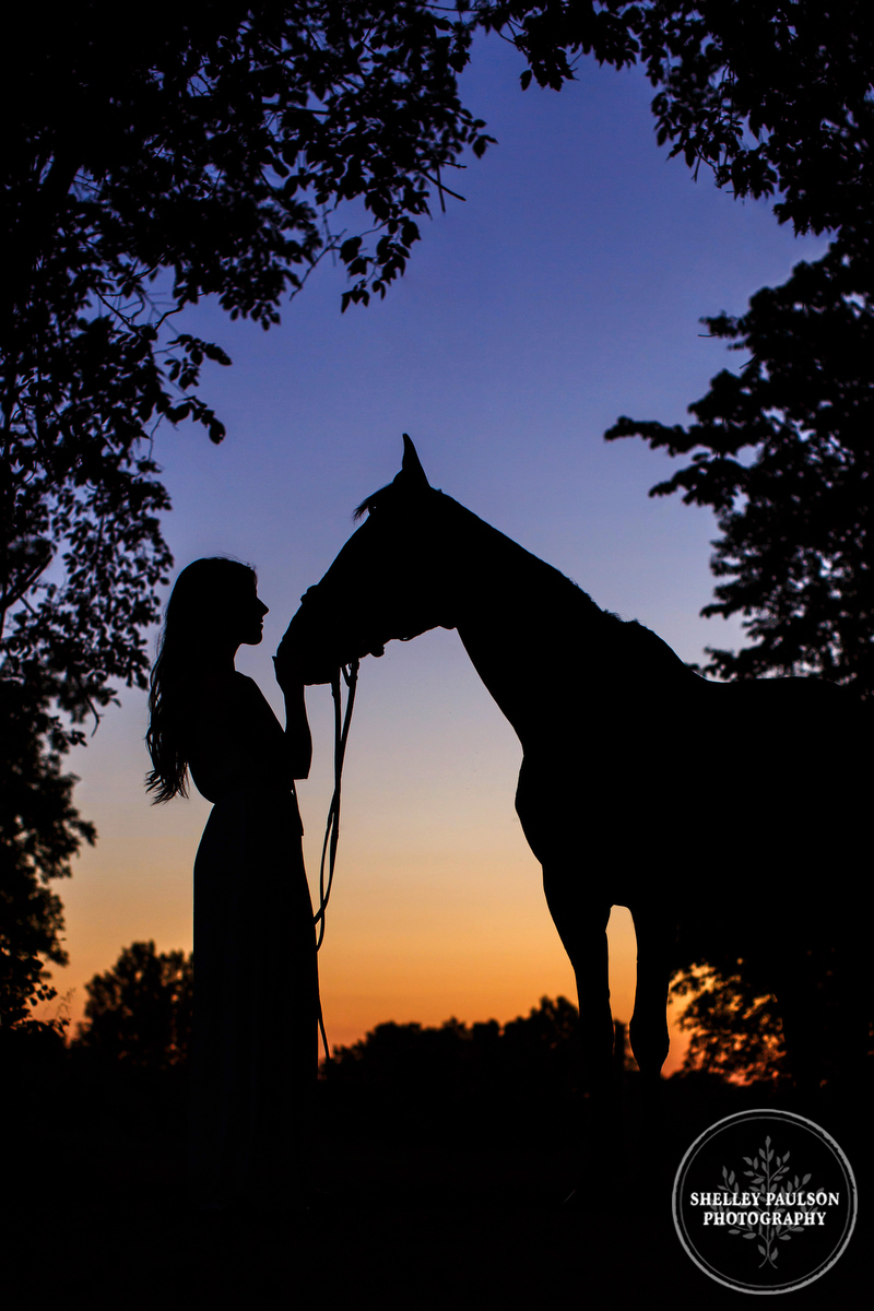 Silhouette of woman and horse by Shelley Paulson