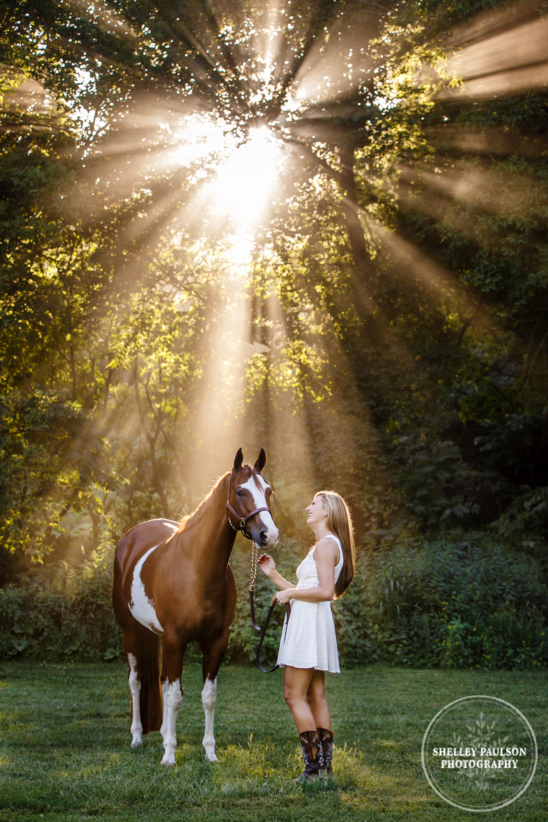 Woman and horse in sunlight by Shelley Paulson