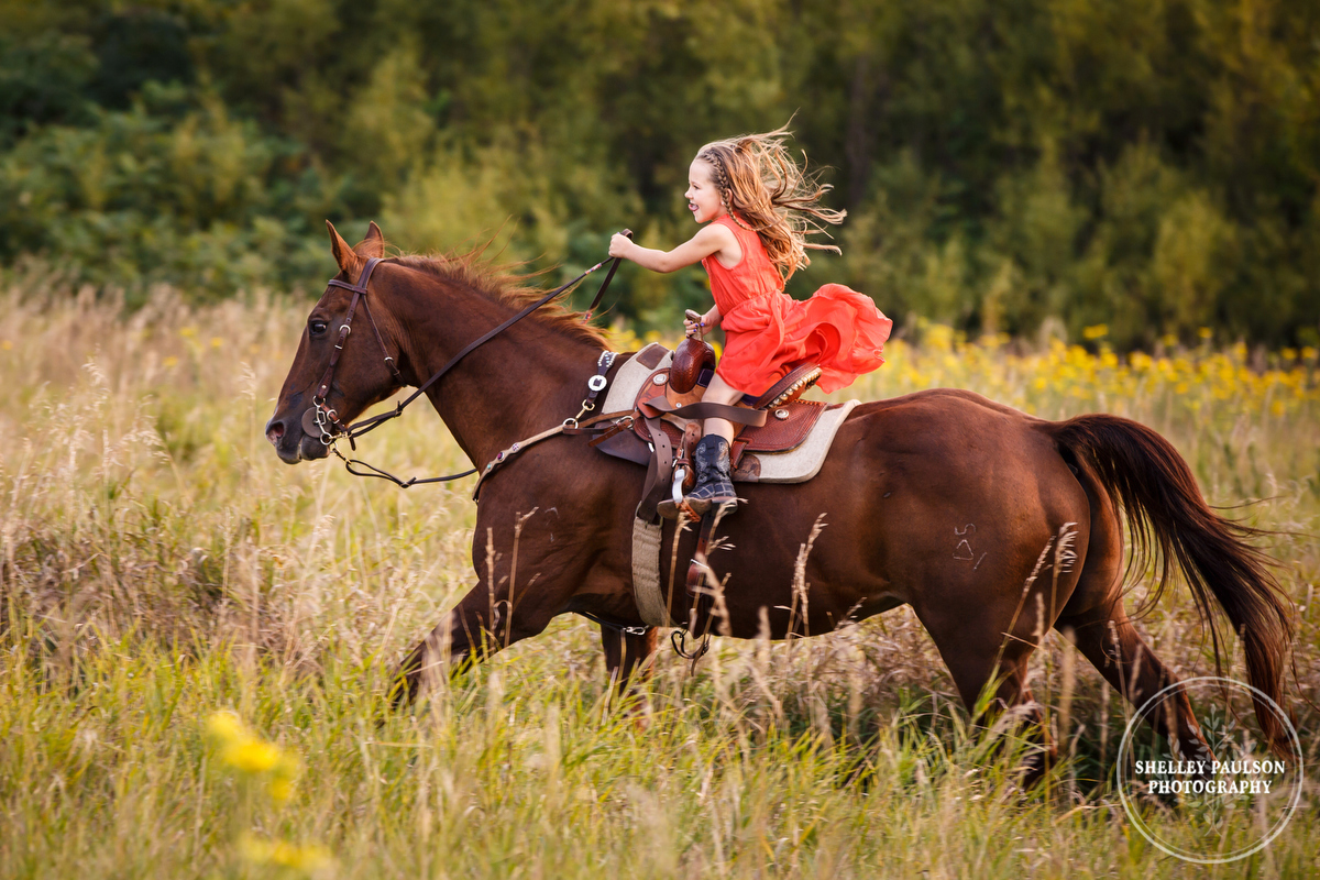 Young girl cantering a horse through a field by Shelley Paulson