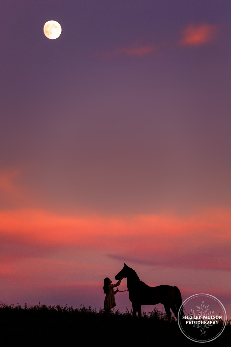 Silhouette of woman and horse