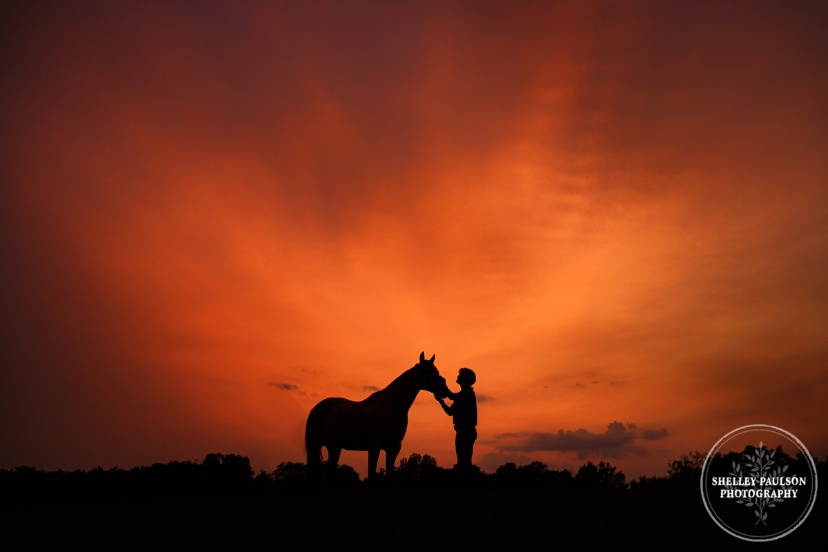 Silhouette of horse and person at sunset by Shelley Paulson