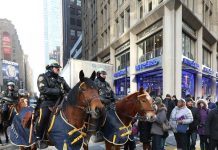 NYPD Mounted Unit