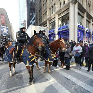 NYC Police Horses are Working the Front Line at the Thanksgiving Day Parade