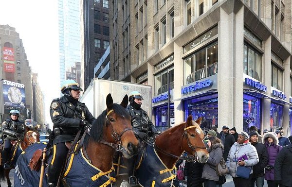 NYPD Mounted Unit