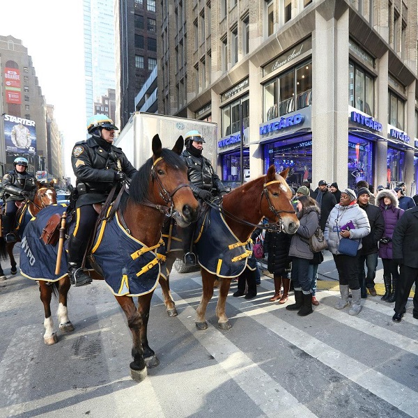 NYPD Mounted Unit