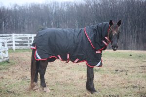 Snug as a Bug in a Wug