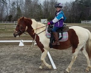 Jillian the Pony Helps Children with Special Needs