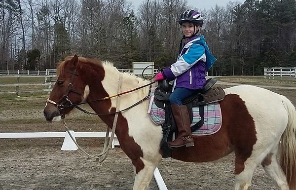 Jillian the Therapy Horse