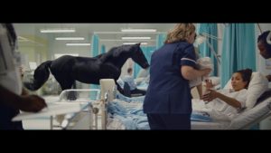 Featured Video: Black Stallion Stars in Lloyds Bank Commercial