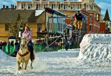 Skijoring Accident Leads to Horse Death skijoring in colorado