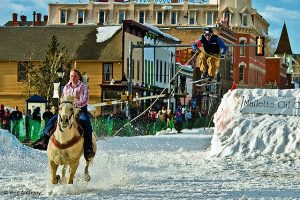 Skijoring Accident Leads to Horse Death